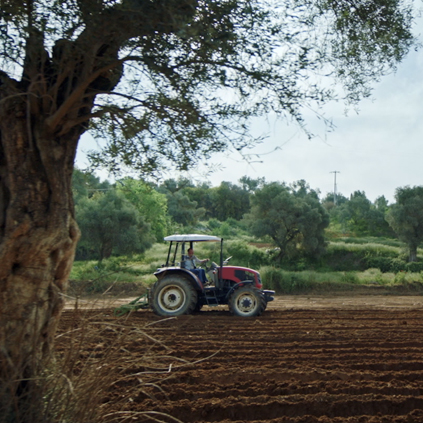 ZİRAAT / TARIM
